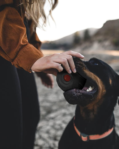 Giggle Ball for Dogs Owl Dog Toys for Aggressive Chewers Gift for Dog Natural Rubber Ball Cute Owl Hoot Medium Large Dog (Demon)