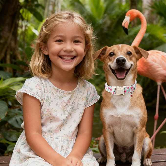 DOGWONG Pink Flamingo Dog Collar Spring Puppy Collars for Small Girl Boy Dogs Durable Soft Adjustable Dog Collar for Small Medium Large Dogs,XS