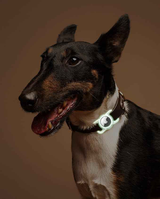 Waterproof Airtag Dog Collar Holder, Silicone & ABS Airtag Holder for Dog & Cat Collars, Ultra-Durable, Lightweight and Protective Airtag Case (Luminous, Regular)