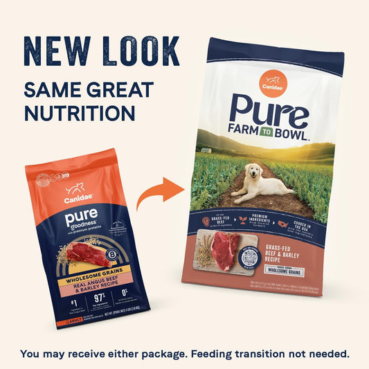 CANIDAE Pure Farm to Bowl Grass-Fed Beef & Barley Dry Dog Food, Adult, 22lb
