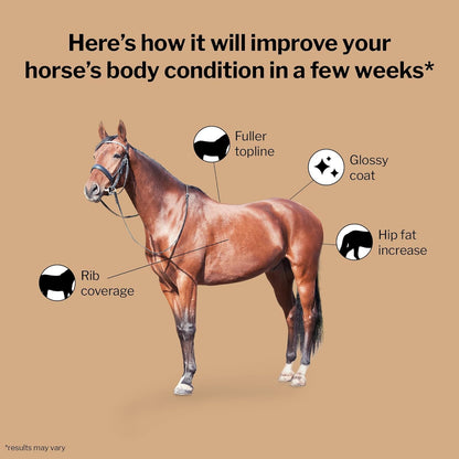 Formula 707 Weight Gain Equine Supplement, Daily Fresh Packs, 28 Day Supply - Palatable, Calorie-Rich Nutritional Support for Hard-to-Keep and Senior Horses