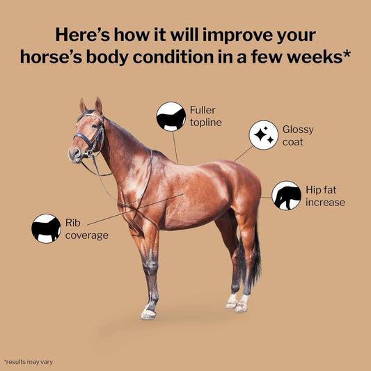 Formula 707 Weight Gain Equine Supplement, Daily Fresh Packs, 28 Day Supply - Palatable, Calorie-Rich Nutritional Support for Hard-to-Keep and Senior Horses