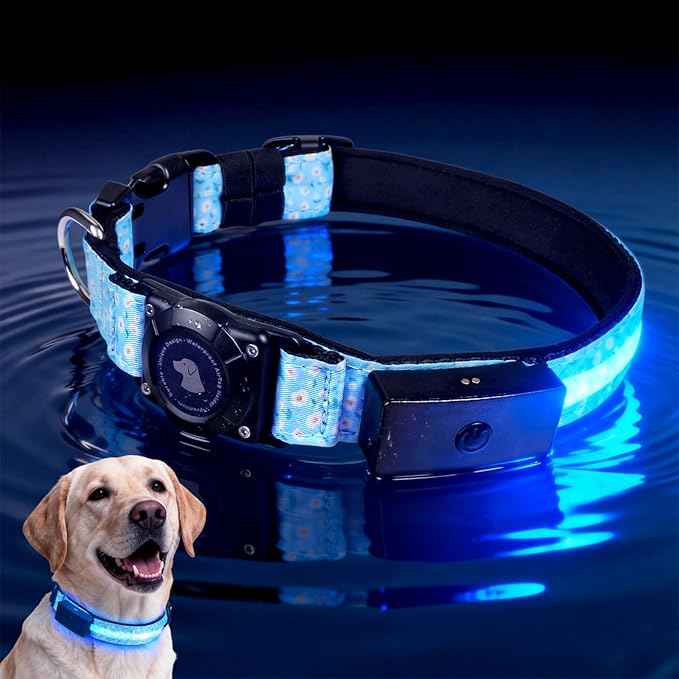 LED AirTag Dog Collar - Brightest Light Up Dog Collars - IP68 Waterproof Air Tag Dog Collar Holder - 1,600 Feet of High Visibility - Magnetic Charging - Dog Lights for Night Walking (Daisy, M)
