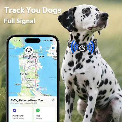 WhoseID Dog Collar with Waterproof AirTag Holder & Anti-Lost QR Code, Cute Bling Warpping Adjustable Width for Small Medium Large Pet (Black, L)