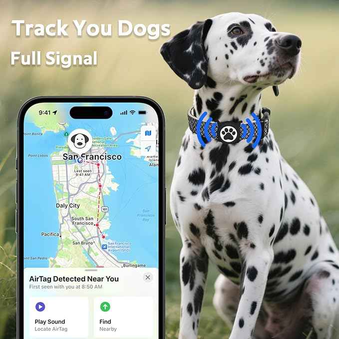 WhoseID Dog Collar with Waterproof AirTag Holder & Anti-Lost QR Code, Cute Bling Warpping Adjustable Width for Small Medium Large Pet (Black, S)