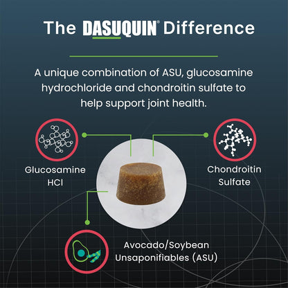 Nutramax Dasuquin Joint Health Supplement for Large Senior Dogs – for Immune Support, Skin & Coat Health, and Brain Health, 84 Soft Chews