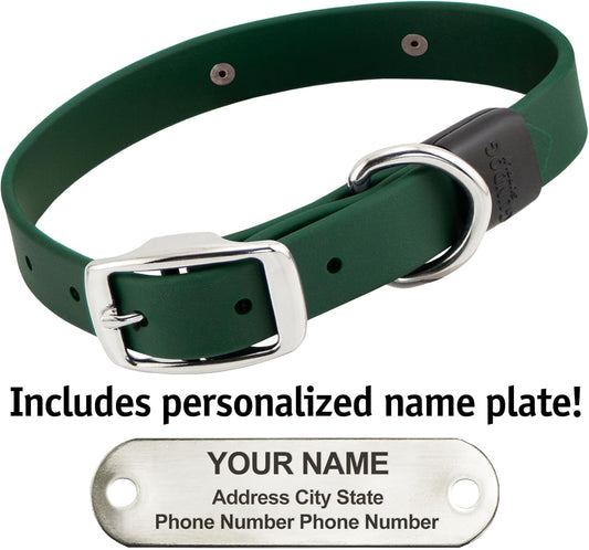 Biothane Custom Dog Collar – Waterproof, Stink-Proof Personalized Collar with Name & Phone Number – Durable, Many Sizes and Colors – Assembled in USA (Forest Green)