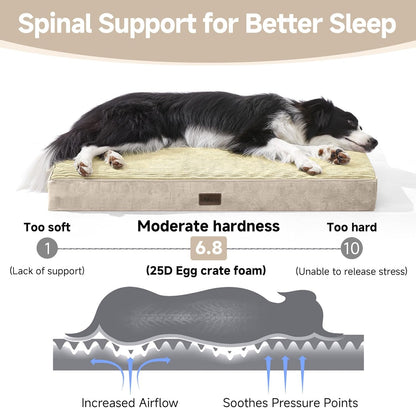 OhGeni Orthopedic Waterproof & Machine Washable Dog Bed for Medium Large Pets, Suitable for Crates, Cat Mat with 25D Egg Crate Foam, Removable Cover & Invisible Zipper, 35 Inches(Khaki)