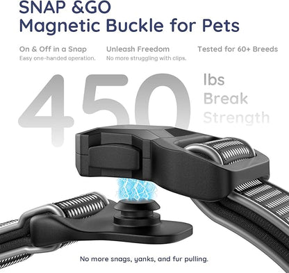 WhoseID Premium AirTag Dog Collar - Air Tag Small Dog Collar | Fur-Safe Magnetic Buckle | IPX8 Waterproof Reflective Dog Collar with AirTag Holder