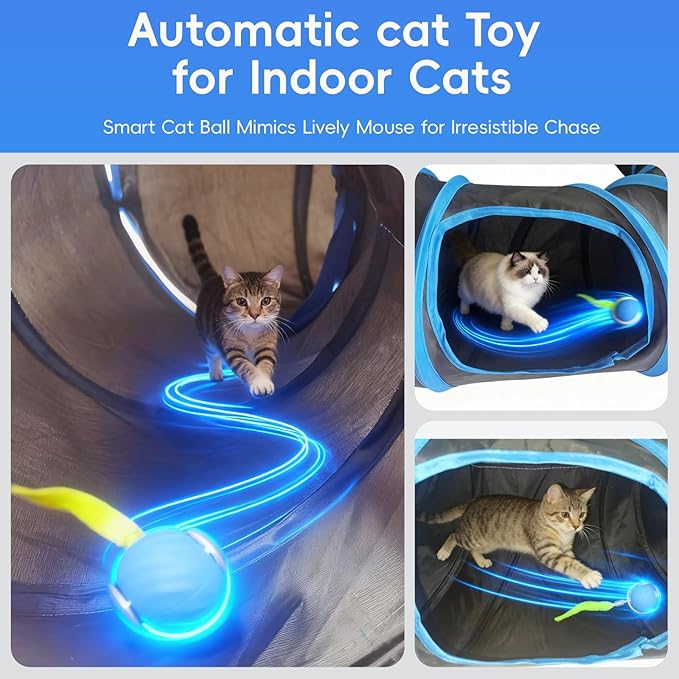 Interactive Cat Toys, Fast Rolling Toy Ball in Round Cat Tunnel, Automatic Cat Toy for Indoor Cats, Cat Hunting Toys for Indoor Cats