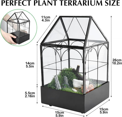 HighFree Glass Terrarium with Metal Tray, Glass Greenhouse Terrarium Kit for Succulents, Cacti, Snails, Spiders, and Miniature Reptiles, Black (Small-5.9" L x 5.9" W x 10.2" H)