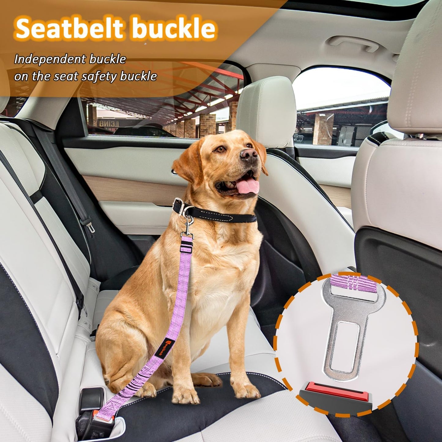 Removable Dog Seat Belt Harness for Car, 3 in 1 Pet Dog Car Seatbelt Leash, Retractable Restraint Secures to Vehicle Headrest & Adjustable Reflective Bungee Dog Seatbelt Tether, Purple and Black