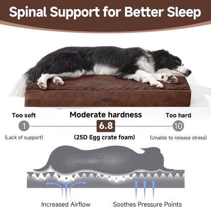 OhGeni Orthopedic Waterproof & Machine Washable Dog Bed for Medium Large Pets, Suitable for Crates, Cat Mat with 25D Egg Crate Foam, Non-Slip Bottom & Removable Cover, 35 Inches(Brown)