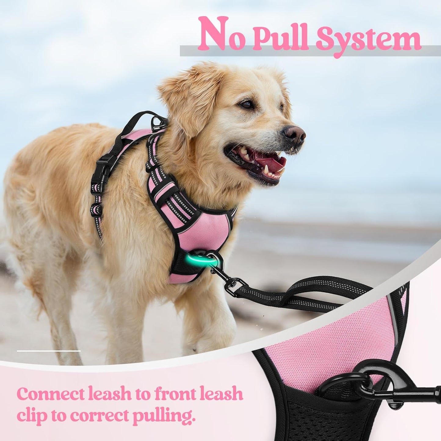 rabbitgoo Dog Harness No Pull with 2 Leash Clips, Adjustable Soft Padded, Reflective Oxford No Choke Pet Vest with Easy Control Handle for Large Dogs, Pink, L