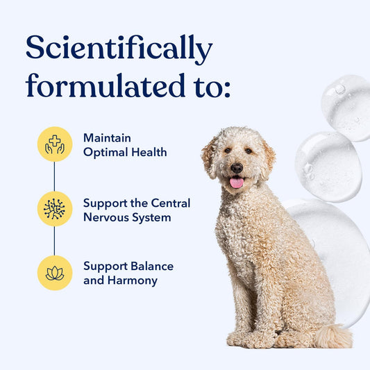 Honest Paws Hemp Oil for Dogs - Natural Hemp Seed Oil Calming Purity Drops for Dogs - Rich in Omega 3 6 9 to Promote Healthy Bones, Joint Support, Relaxation, Managing Normal Stress - Made in The USA