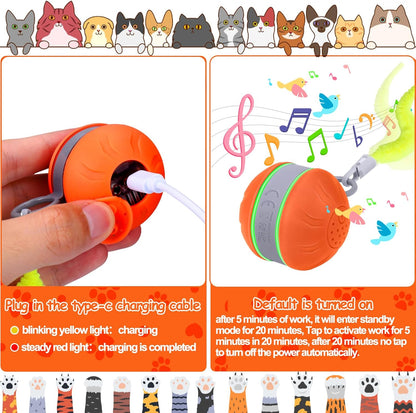 AIERSA Interactive Cat Toys for Indoor Adult Cats, Automatic Self-Play Cat Ball Toy for Kitten to Keep Them Busy, Electric Moving Chase Toy (Orange)