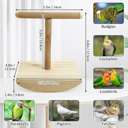 kathson Bird Training Stand Parakeet Playground Bird Perch Stand Portable Tabletop Bird Perch Parrot Stand perches T Shaped Bird Play Stand for Parakeet Conure Lovebird Cockatiel