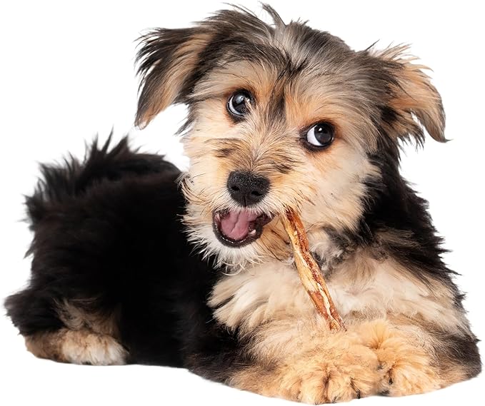 Fieldcrest Farms Nothin' to Hide Twist Stix, Beef Flavor, Easily Digestible, Supports Skin, Coat, Joints & Muscles, for Moderate Chewers Under 15lbs, 10 Pieces