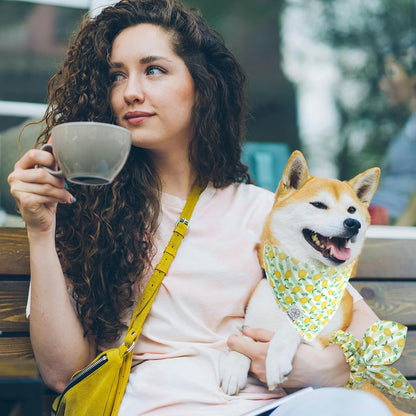 E-Clover Summer Lemon Dog Bandanas & Matching Scrunchie Set Green Stripe Dog Scarf Bibs Pet Bandana with Bow Tie for Medium Large Dogs Owner Mom