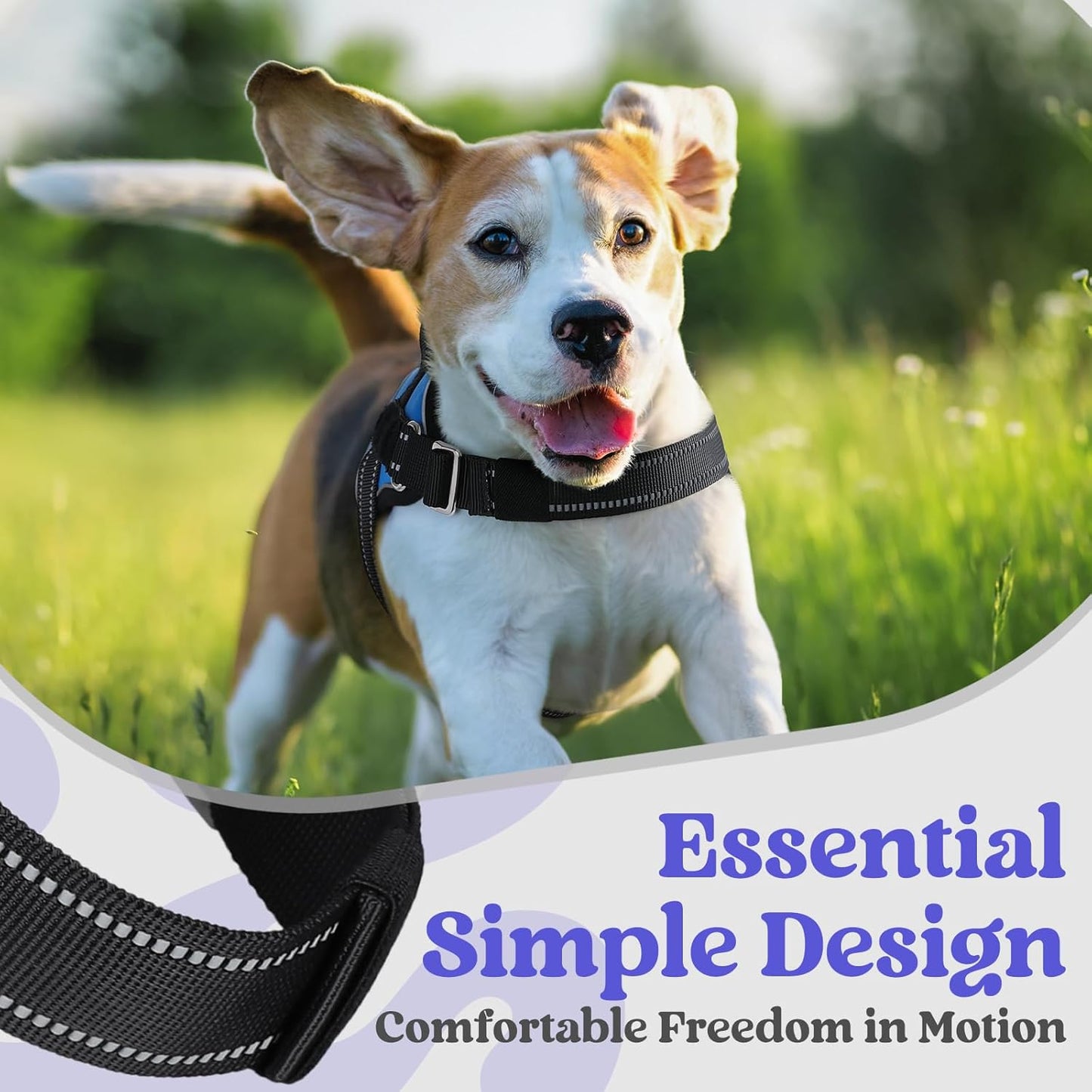 rabbitgoo Dog Harness Medium Sized, Easy On Pet Vest with One Buckle, No Pull Adjustable Service Harness with D-Ring & Handle, Reflective for Safety Walking, Training, Blue, M