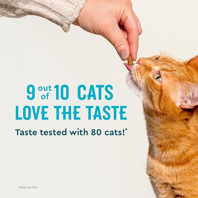 VetIQ Cat Probiotics Supplement – Probiotic, Prebiotic & Postbiotic for Cats, Digestive & Gut Health Support, Constipation & Diarrhea Relief, Chicken Flavored, 3.7 oz