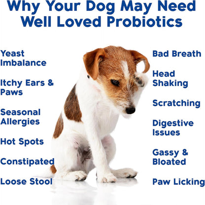 Probiotics for Dogs, Dog Probiotics, Made in USA, Vet Developed for Gut Health, Yeast Balance, Itchy Skin, Diarrhea & Gas Relief, Chews with Prebiotic & Digestive Enzymes, Digestive Support