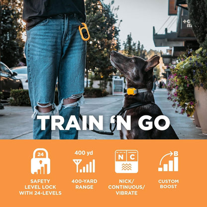 Dogtra CUE Yellow – E-Collar for Dogs Training Collar with Remote – Training Made Easy for Everyday Dog Owners – Gentle Vibration, Custom Boost, Waterproof, Rechargeable, 400-Yard Range System