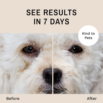 Eye Envy Dog Tear Stain Remover Starter Kit with ProPowder Brush | Stain Solution, Applicator Pads, Stain Powder and Small Applicator Brush | Lasts 30-45 Days