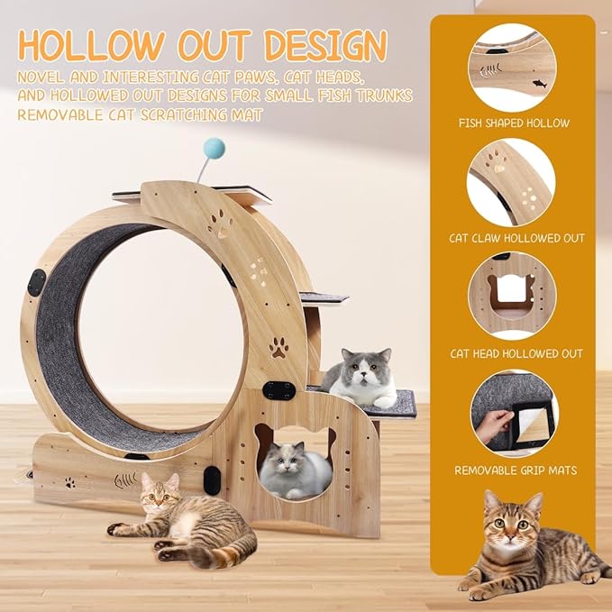 6-in-1 Cat Exercise Wheel, Upgraded Large Cat Wheel Exerciser, Running Wheels for Indoor Cats, Cats Wheel with Silent (Wood)