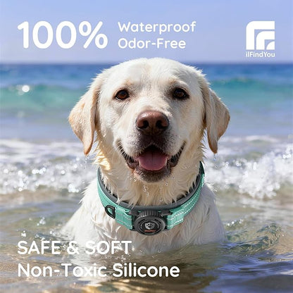 Upgraded AirTag Dog Collar with Holder, Waterproof Reflective Air Tag Dog Collar with Widened Comfortable Padding & Ultra-Durable Metal Buckle, Adjustable for Large Dogs (L, Cyan)