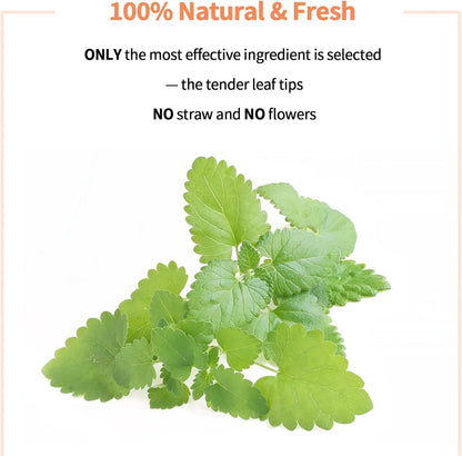 Premium Catnip for Cats & Kittens – Cold-Processed, High Potency Nepetalactone, 100% Pure Organic Leaf-Only Catnip for Toys, Scratchers, Refills, Stimulates Play & Protects Furniture - 25g