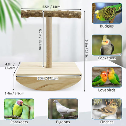 kathson Bird Training Stand, Parakeet Playground Bird Perch Stand Portable Tabletop Bird Perch Parrot Stand perches T Shaped Bird Play Stand for Parakeets Conures Lovebirds Cockatiels
