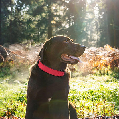 Didog Soft Padded PU Leather Dog Collar, Breathable and Adjustable Red Dog Collars for Medium Dogs, Comfortable for Daily Walk, Red, L Fit Neck 13-17"(22-44 lbs)