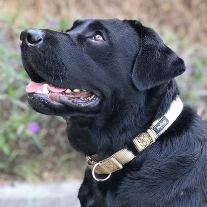 Premium Upgraded Durable Nylon Anti-Escape Martingale Dog Collar for Medium Boy and Girl Dogs Comfy and Safe - Walking, Professional Training, Daily Use. (Medium, Military Green)