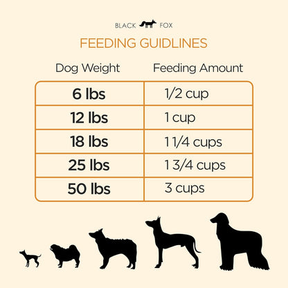 BLACK FOX Raw Freeze Dried Dog Food - Chicken & Salmon Entrée - Complete Meal - 1.1lb