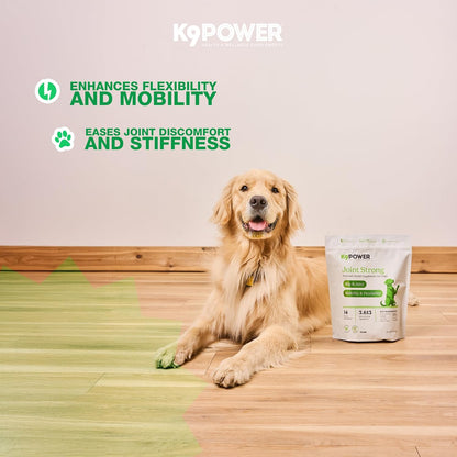 K9 Power Joint Strong Supplement 1 lb - Dog Joint Health & Mobility Support with Glucosamine, Curcumin, Chondroitin, Hip & Joint Pain Relief - Pack of 2
