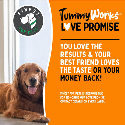 TummyWorks Probiotic 120 Soft Chews for Dogs All Ages - Supports Digestive Health, Relieves Diarrhea, Constipation, Good for Itching, Allergies, Yeast Infections. Added Digestive Enzymes, Made in USA