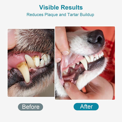 Dog Teeth Cleaning Powder 100g Fights Plaque & Tartar Freshens Breath All-Natural Ingredients for Dogs of All Breeds and Ages Easy to Use Dog Dental Powder