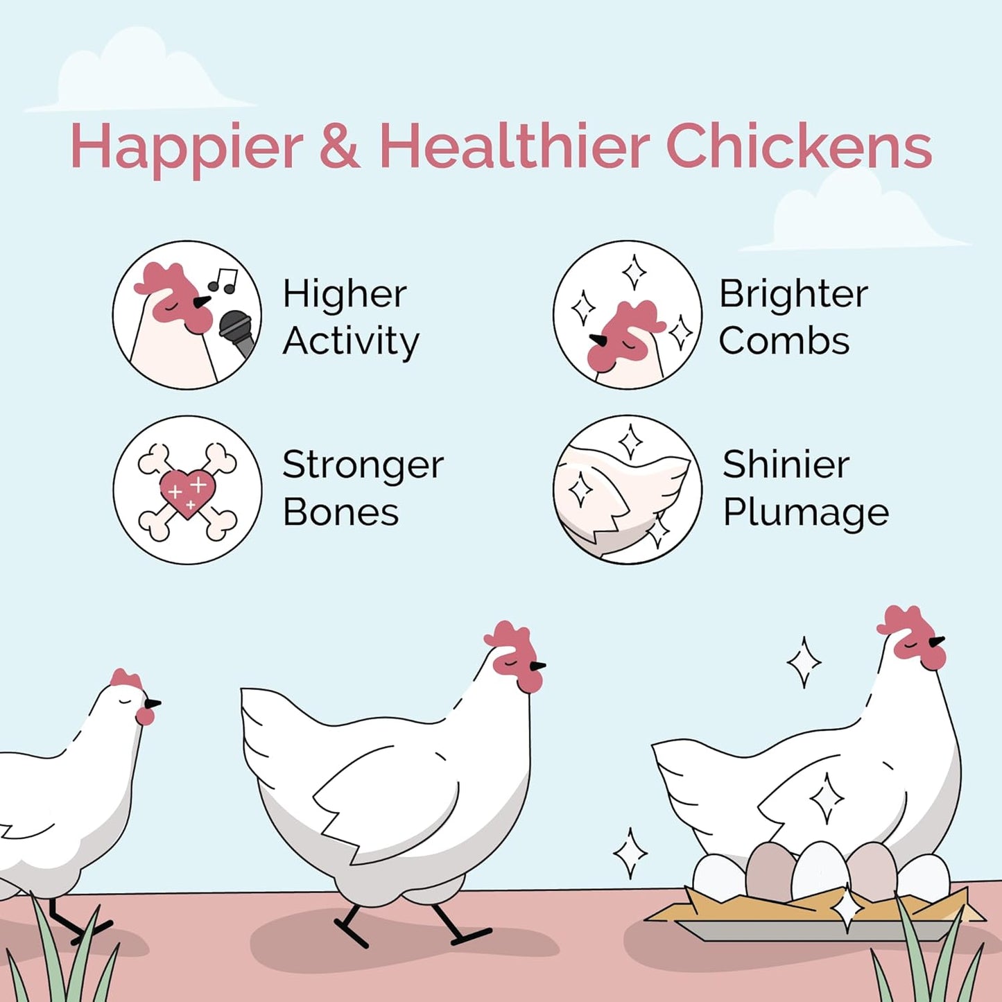 Organic Chicken Feed – Layer Pellet, Non-GMO, USA Grown, 16% Protein, Corn-Free, Soy-Free, Non-Medicated Feed for Chickens, 2 lbs Sample