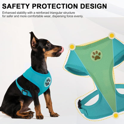 BINGPET Small Dog Harness - Breathable Mesh Puppy Cat Harnesses - No Pull Adjustable Dog Harness Dog Vest Harness for Small and Medium Dogs