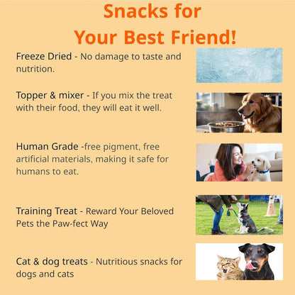 Puppyluv Treat - Freeze Dried Salmon Dog & Cat Treats, Wild Caught, Single Ingredient, Natural High Protein & Fish Oil, Grain Free Gluten Free, 3.2oz