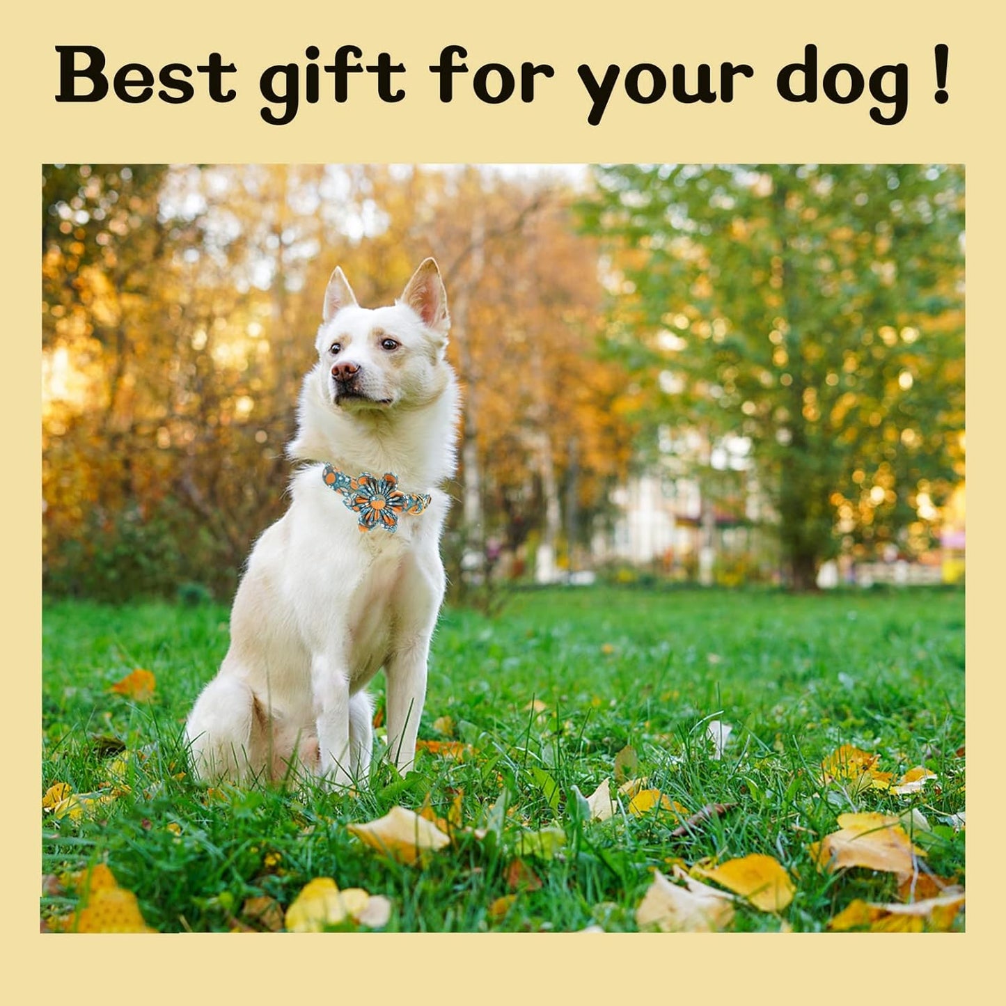 Unique styleUnique Style Paws Halloween Dog Collar with Flower Tie Pumpkin Cotton Collar Adjustable Puppy Collar for Small Medium Large Dogs-XS