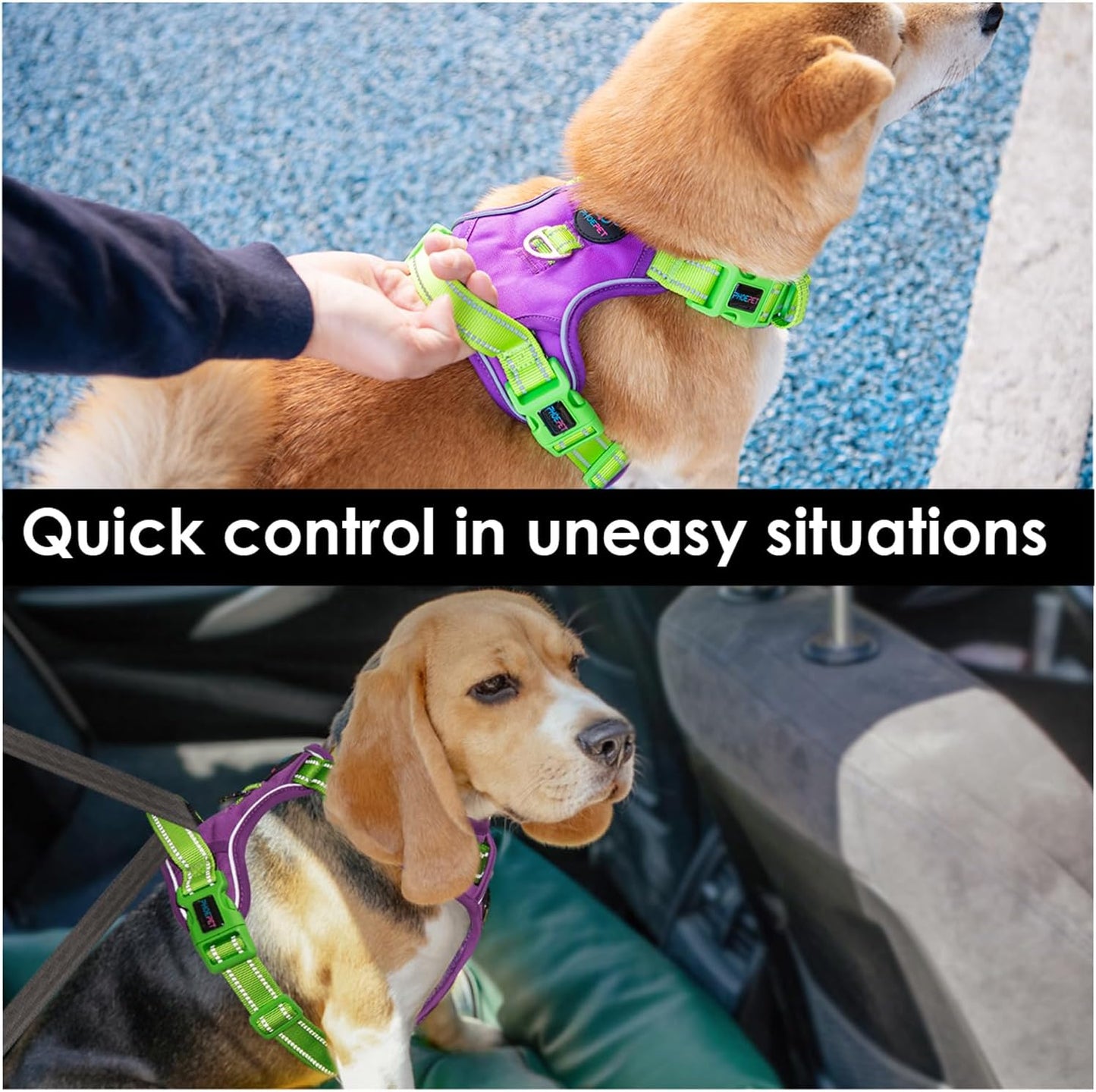 PHOEPET No Pull Dog Harness, Unique Colors Reflective Adjustable Dog Vest, with Soft Training Handle Metal Clips for Small Medium Large Dogs (Purple Base & Green Straps,L)