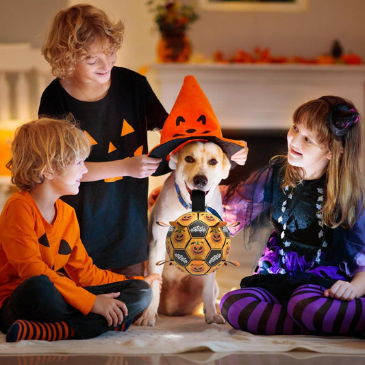 QDAN Halloween Dog Toys, Soccer Balls, Interactive Pet Toys, Puppy Dogs Birthday Gifts, Durable Dog Balls for Small Medium Dogs(6 Inch)
