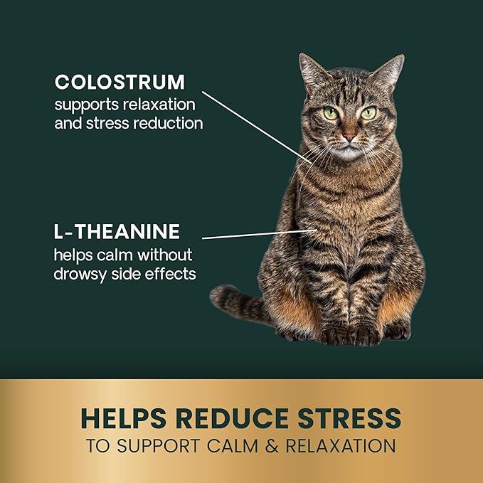 VetriScience Calm & Confident Chews, Composure Calming and Anxiety Supplement for Cats, Reduce Stress and Fear, Ideal for Travel, Vet, Grooming and Routine Changes, Chicken, 30 Count