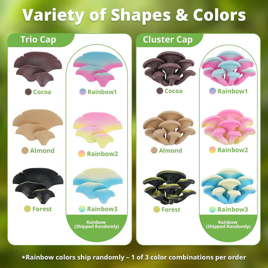 Mushroom Decor for Reptile Tank, Fish Tank, Pet-Safe Bearded Dragon Tank Accessories, Realistic Terrarium Plants for Crested Geckos, Frogs (Rainbow Trio Cap, Randomly Shipped from 3 Styles)