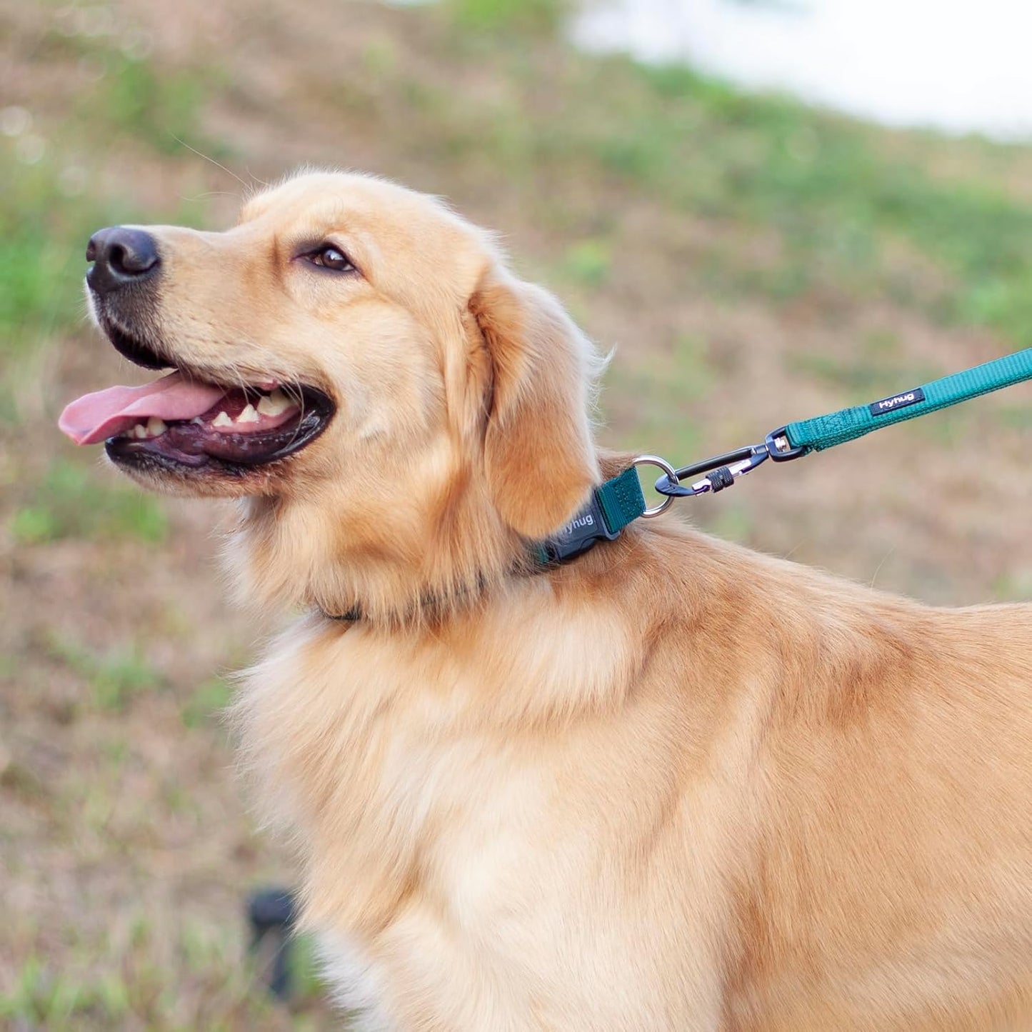 Hyhug Pets Solid Color Classic Regular Heavy Duty Basic Collar for Large Breeds Dogs Daily use, Unique Design Adjustment Triglide Slide Can Attached Name Tag Accessories. (Large, Dark Green)