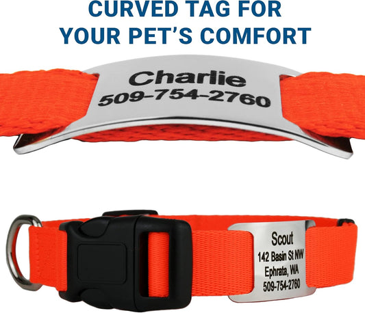 GoTags Personalized Dog Collar with Nameplate, Adjustable Dog Collar with Custom Engraved Slide On Pet ID Tag in Stainless Steel, Silent, No Noise Dog Tag for Large Medium and Small (Orange, X-Small)