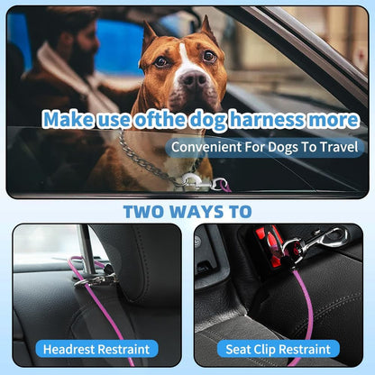 Dog Seat Belt Harness for Car,Dog Seatbelt of Coated Wire Leash Safety Restraint,No Chew Tether Cable Vehicle,Double Clips & Latch (Purple, 24 inch/60 CM)