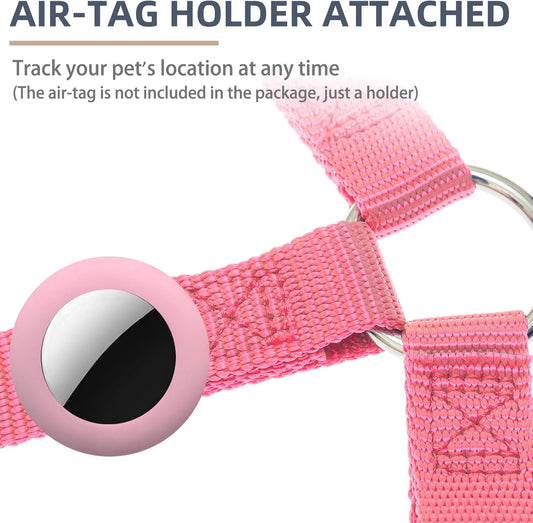 PUPTECK No Pull Dog Harness Soft Adjustable Basic Nylon Step in Puppy Vest Outdoor Walking with ID Tag and A-ir Tag Case, Fuchsia, S